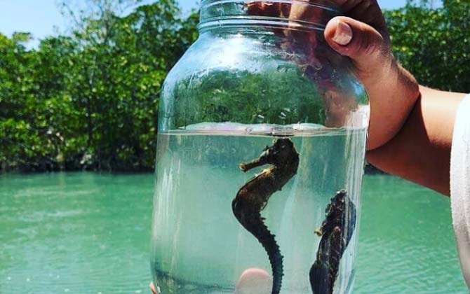 passeios-em-jericoacoara-img-015-deferias-no-ceara